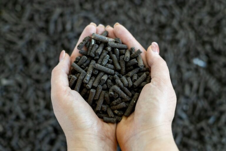 _PFO9494_2000x2000px